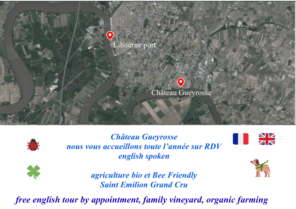 Libourne Cruise Excursion - discover Saint Emilion wines in a family estate