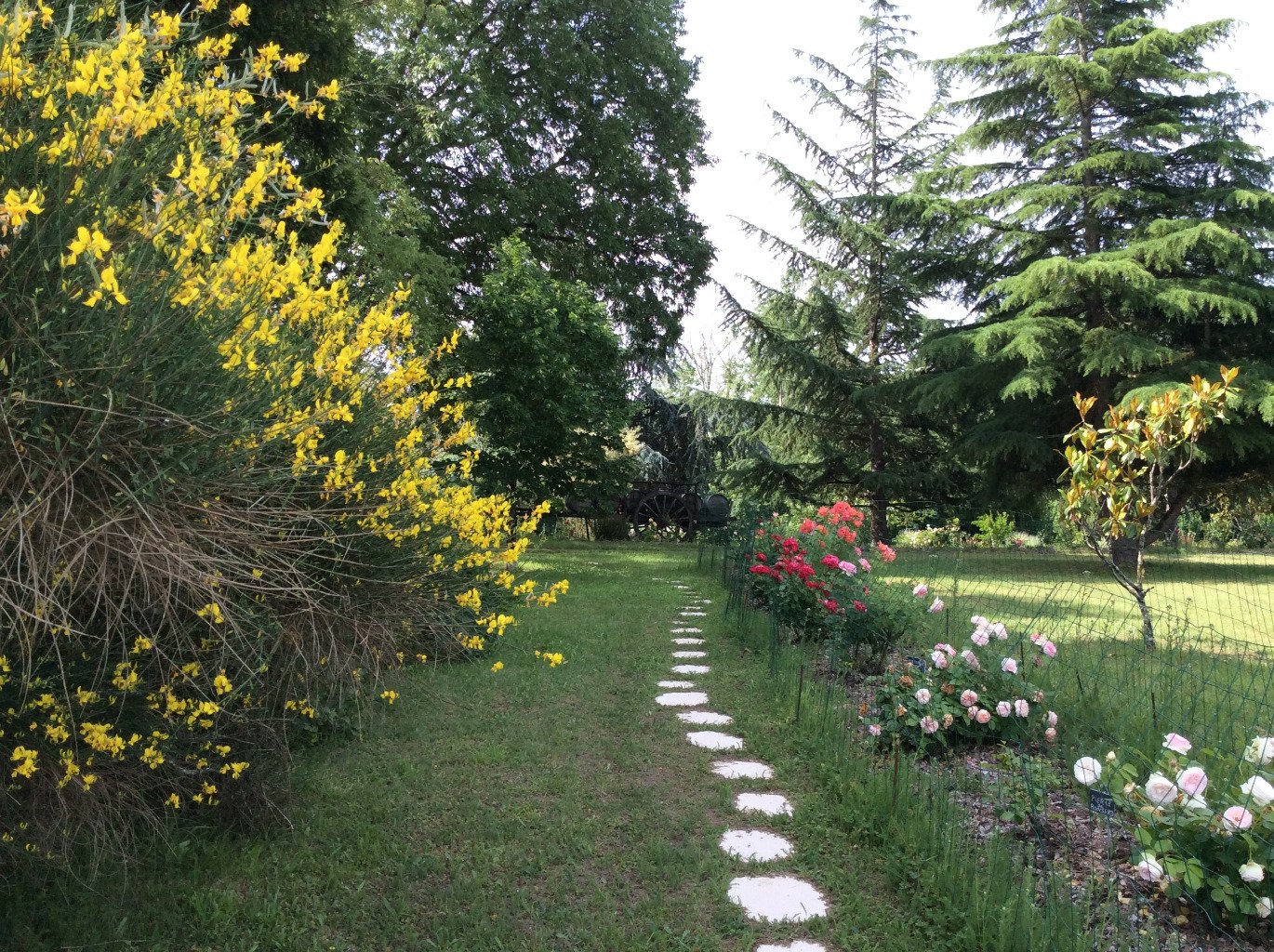 jardin accueillant la biodiversité
