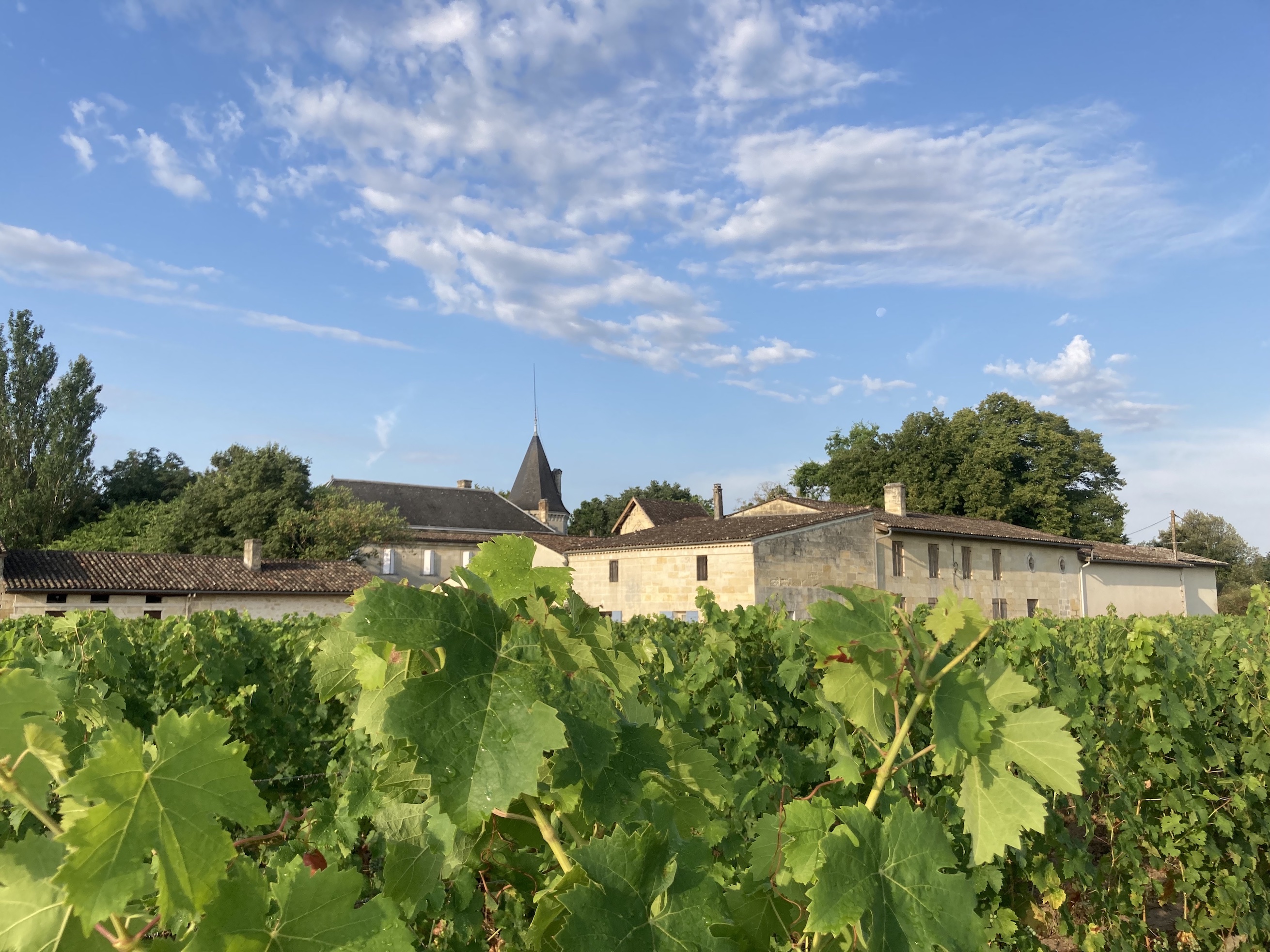 Saint Emilion Château du Jour